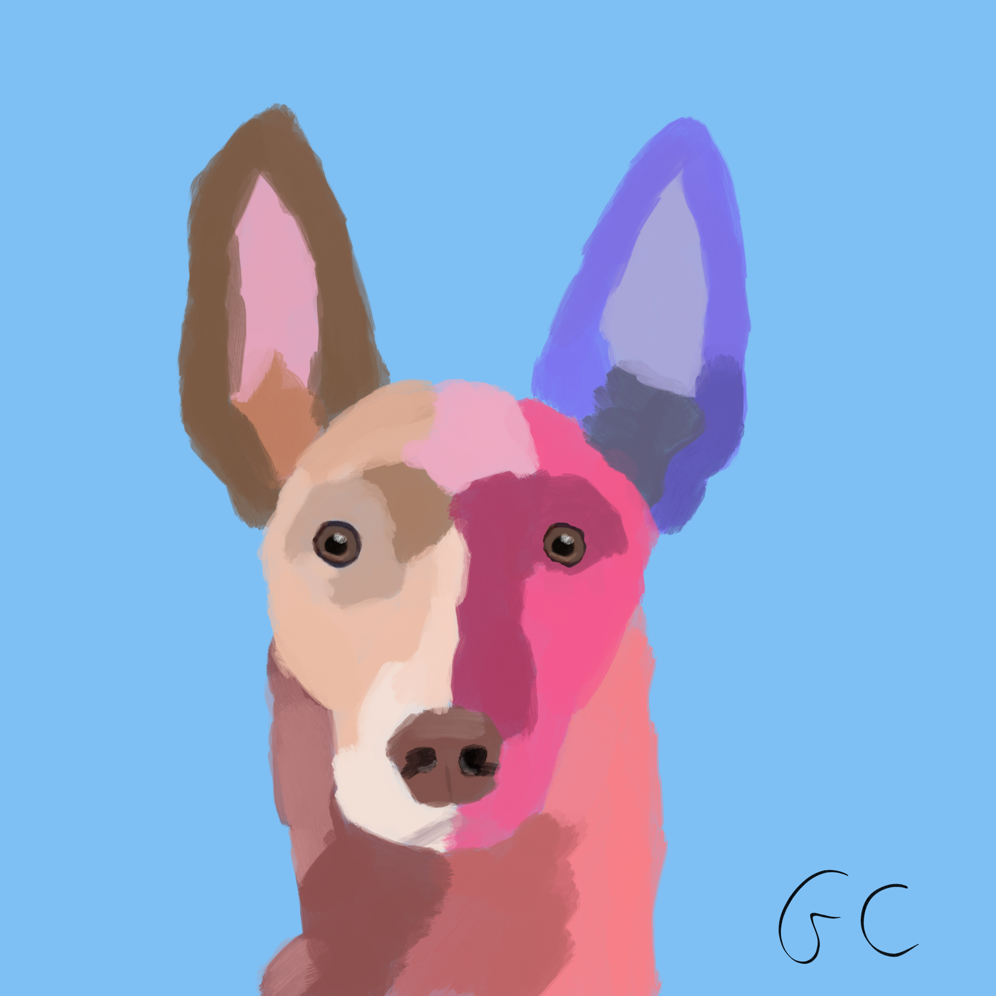 CANINE NO.54 - BRUCE