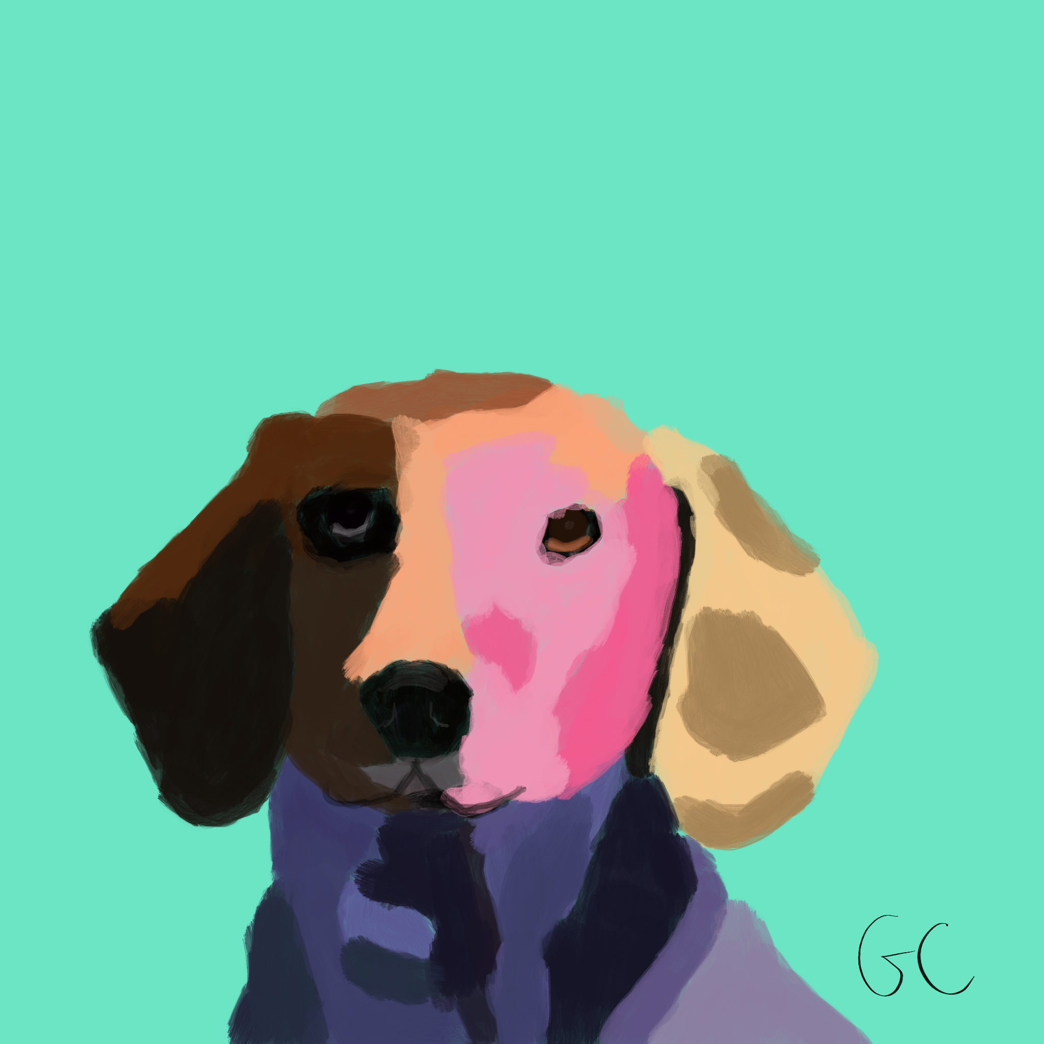 CANINE NO.53 - PAULY