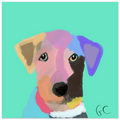 1aa20e71-3887-4aac-9b14-cc582ff96041